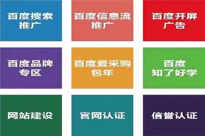 成功案例：托管SEM竞价在金融行业的应用